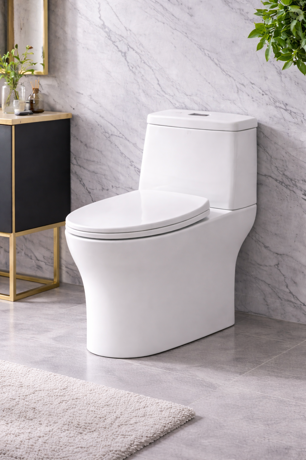 Luxury One-Piece Toilet